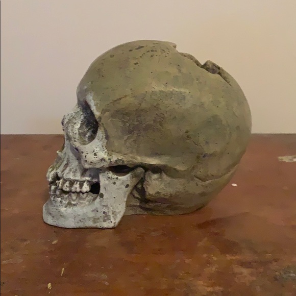 skeleton head - Picture 2 of 4